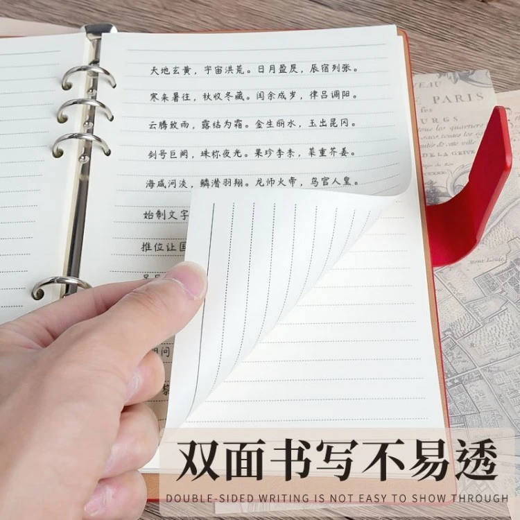 Loose-Leaf notebook for work product view 10